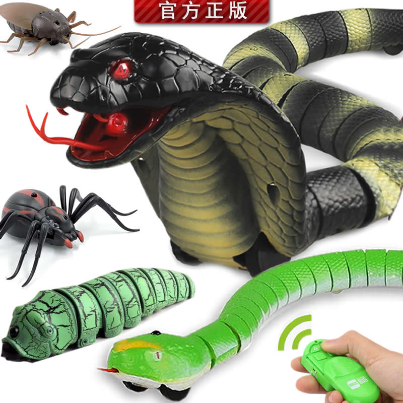 抖音遥控真眼镜蛇毛毛虫爬行动物虫子昆虫电动蟑螂蜘蛛整蛊玩具