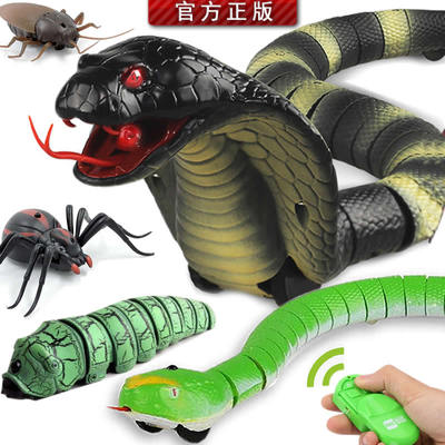 抖音遥控真眼镜蛇毛毛虫爬行动物虫子昆虫电动蟑螂蜘蛛整蛊玩具