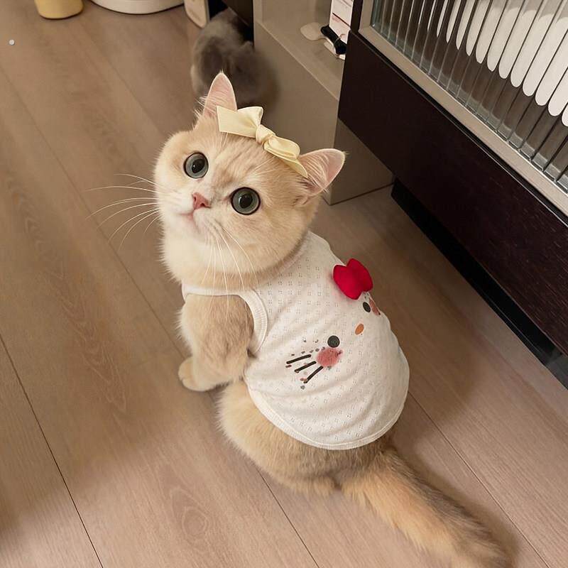 猫咪衣服小猫防掉毛薄款夏季背心2026新款德文猫布偶猫宠物狗厂家