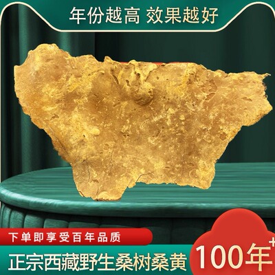 野生西藏桑树桑黄 现称现拍