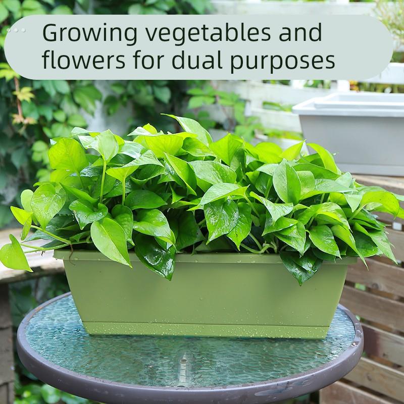 加厚阳台长条种菜盆家用长方形种菜箱霍仑盆蔬菜种植塑料花盆特大