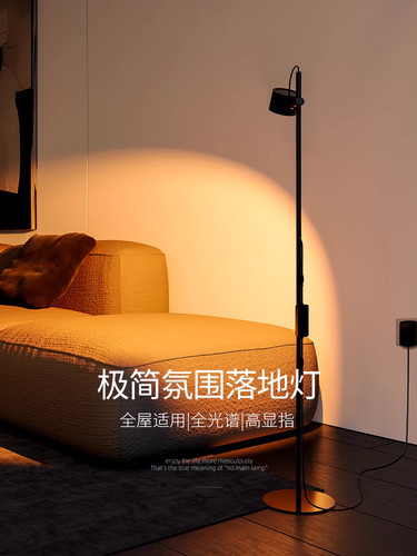 客厅落地灯沐光卧室全光谱阅读护眼氛围灯覆古轻奢沙发旁灯台灯