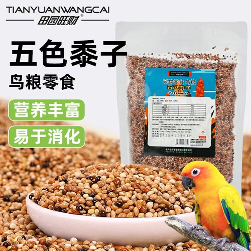 田园旺财五色黍子鸟粮零食营养丰富易消化鹦鹉饲料