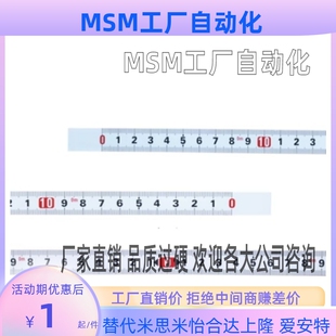 刻度橫向型標(biāo)尺 100 400 BLP11 599 L20 200 300