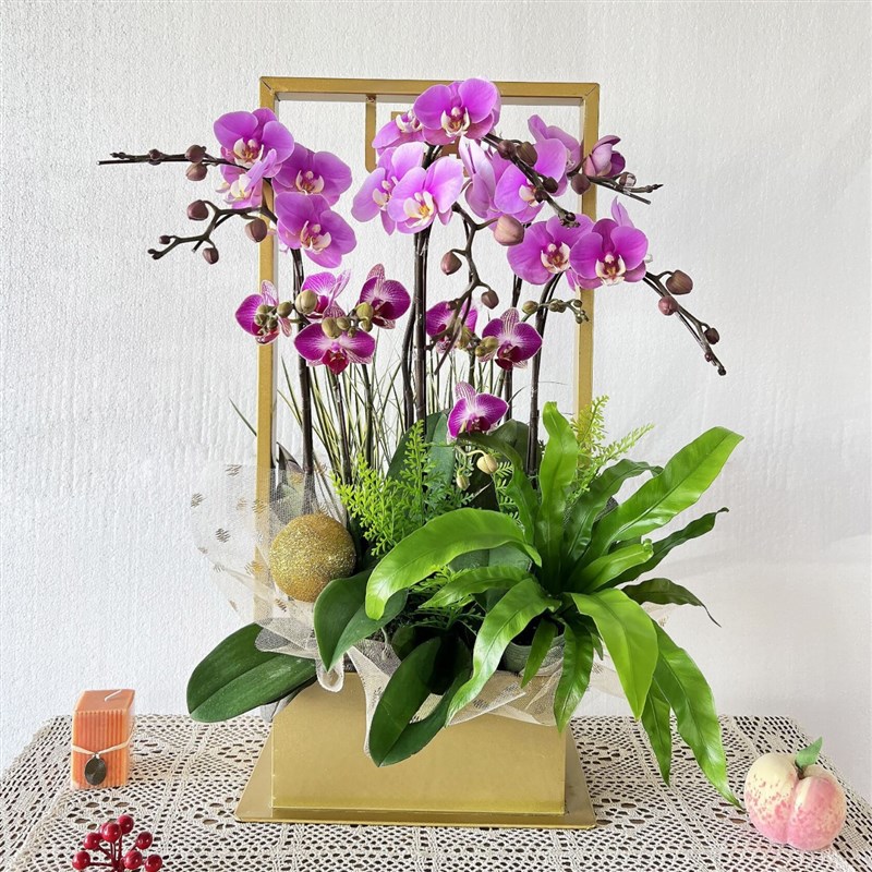 新中式蝴蝶兰花架仿真冬青植物花盆简约轻奢年宵花盆栽摆件装