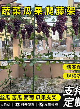 爬藤架豆角黄瓜西红柿架蔬菜搭棚子支架植物固定支撑杆现货厂