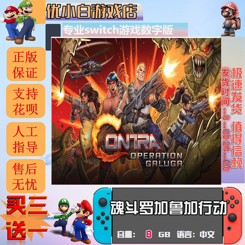 switch魂斗罗加鲁加行动数字卡