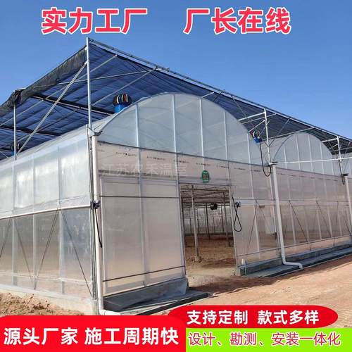 蔬菜大棚种植塑料薄膜连栋温室大棚育苗育秧蓝莓钢管