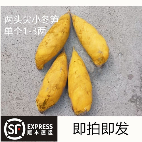 冬笋新鲜野生农家现挖嫩笋