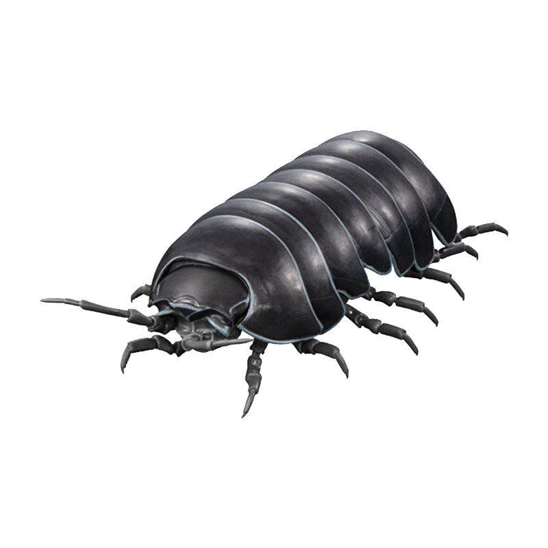 限购五件[现货]玩具 团子虫造型公仔 关节可动摆件,模玩/动漫/周边/娃圈三坑/桌游,动漫挂件/文具,淘宝优惠券,粉丝福利购,淘宝优惠卷