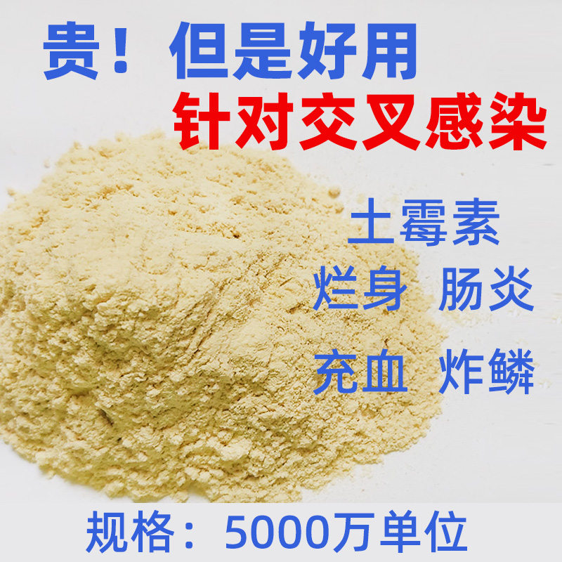 锦鲤肠炎土霉素水族观赏鱼养乌龟