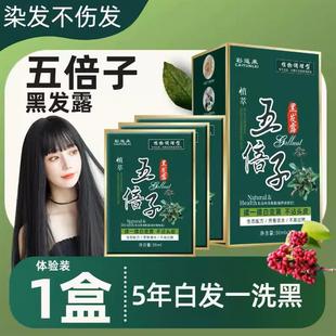 染发膏植物不伤发黑油理发店盖白黑色染发剂自己在家染 五贝子袋装