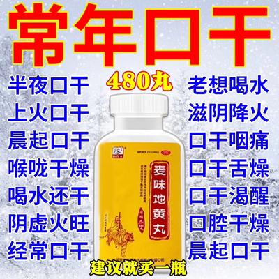 【药王孙真人】麦味地黄丸(浓缩丸)375mg*480丸/盒