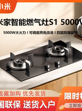小米米家燃气灶4500WS1天然气液化气灶台式家用炉具5.2kw定时双灶