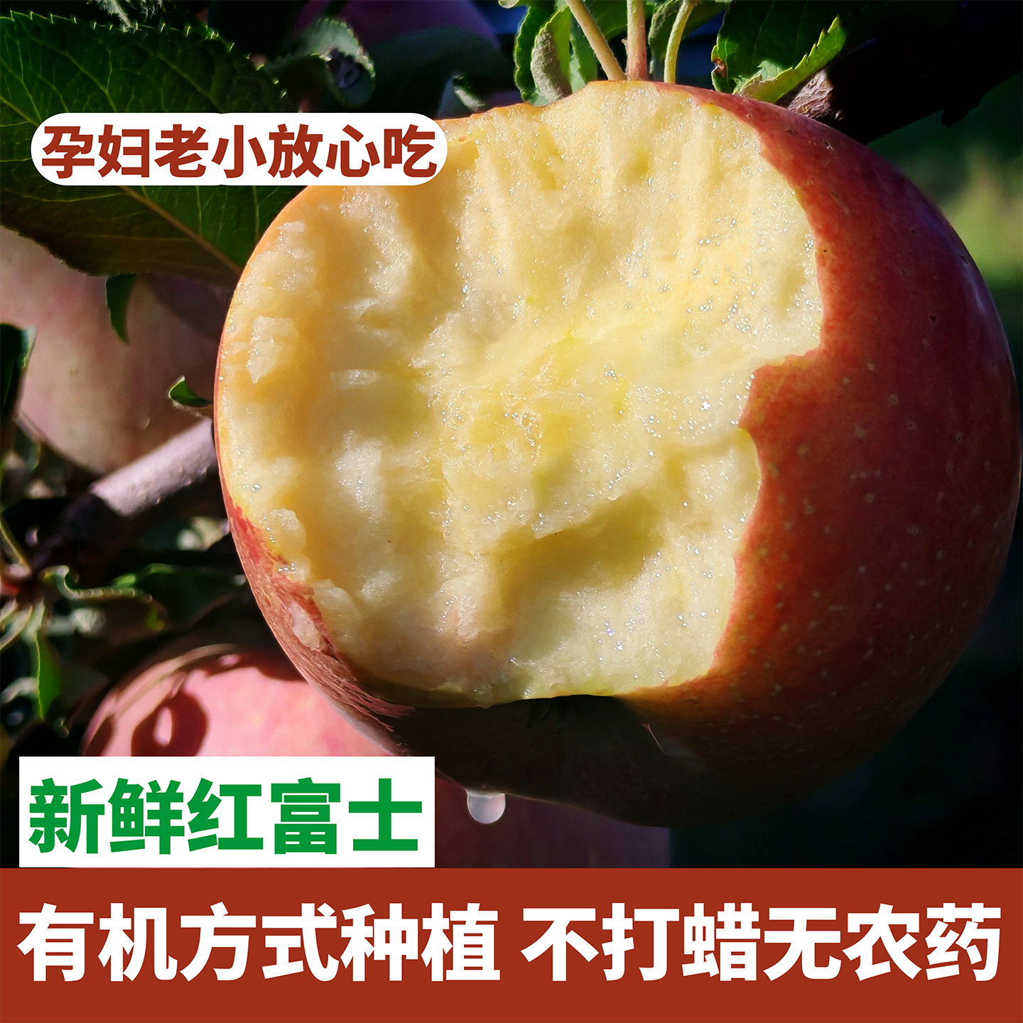 有机方式种植丨2025年新鲜野生原生态苹果水果10斤当季整箱红富士,水产肉类/新鲜蔬果/熟食,苹果,淘宝优惠券,粉丝福利购,淘宝优惠卷