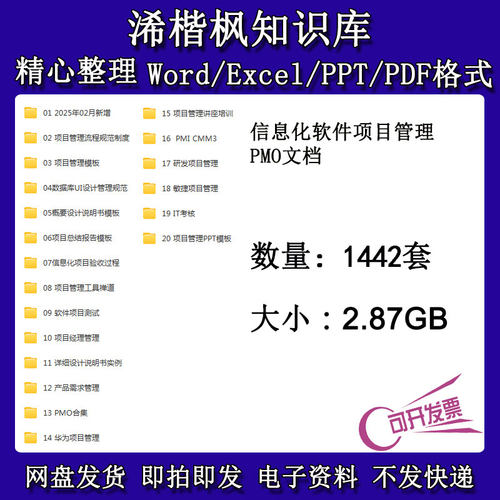 信息化软件项目管理PMO文档模板案例教程管理办法制度规范资料