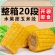 5斤云南水果甜脆玉米段新鲜真空包装 开袋即食学生早餐低嫩玉米脂