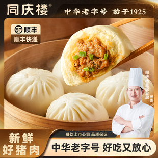早餐半成品早点加热即食速食早餐 40个 同庆楼鲜汁大肉包500g