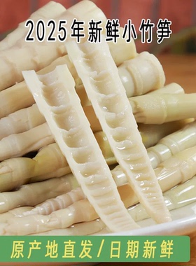 江西小竹笋新鲜嫩笋尖清水小竹笋野生小笋甜笋水竹笋串串笋手剥笋