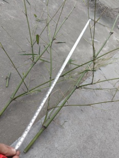 龙挂香倒流香竹架香插竹子大空心大洞原材料玉竹手工制作布景装饰