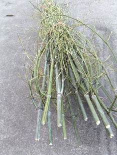 龙挂香倒流香竹架香插竹子实心竹小洞原材料玉竹手工制作布景装 饰