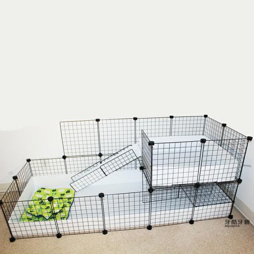 天竺鼠笼子素材模板 天竺鼠笼子图片下载 小麦优选