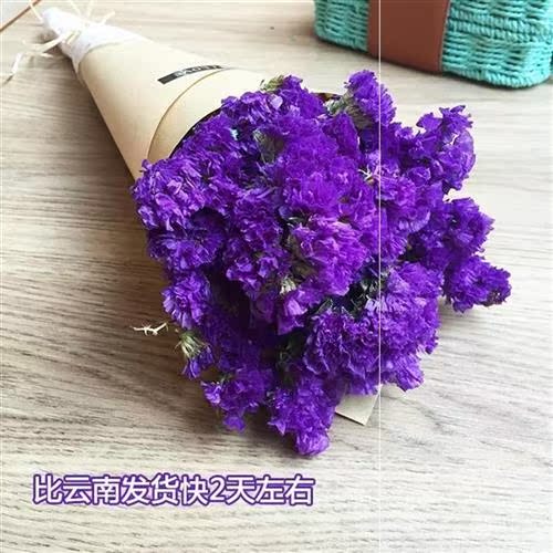 干燥花摆设价格 干燥花摆设图片 星期三 干燥花摆设价格 干燥花摆设图片 星期三