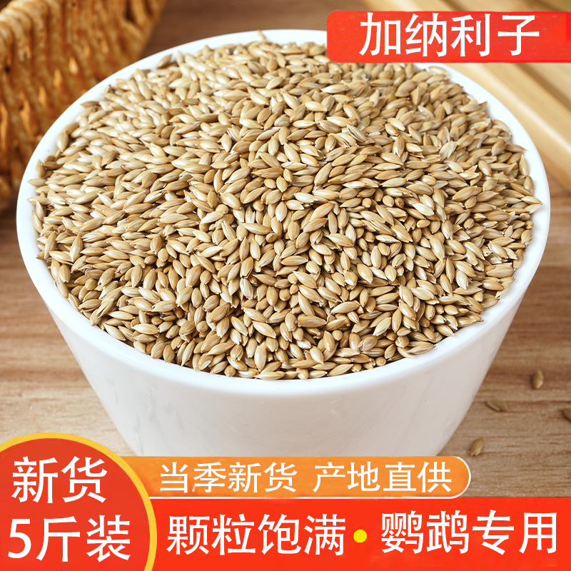 新货进口加纳利子5斤鹦鹉粮虎皮