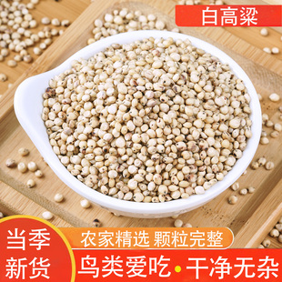白高粱农家新货鸟粮鸽粮带皮鹦鹉鸟粮鸟食专用5斤自产优质饲料