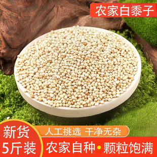 白色黍子鸟粮单色黍子斑鸠玄风鹦鹉粮仓鼠鸟粮白糜子当季新粮