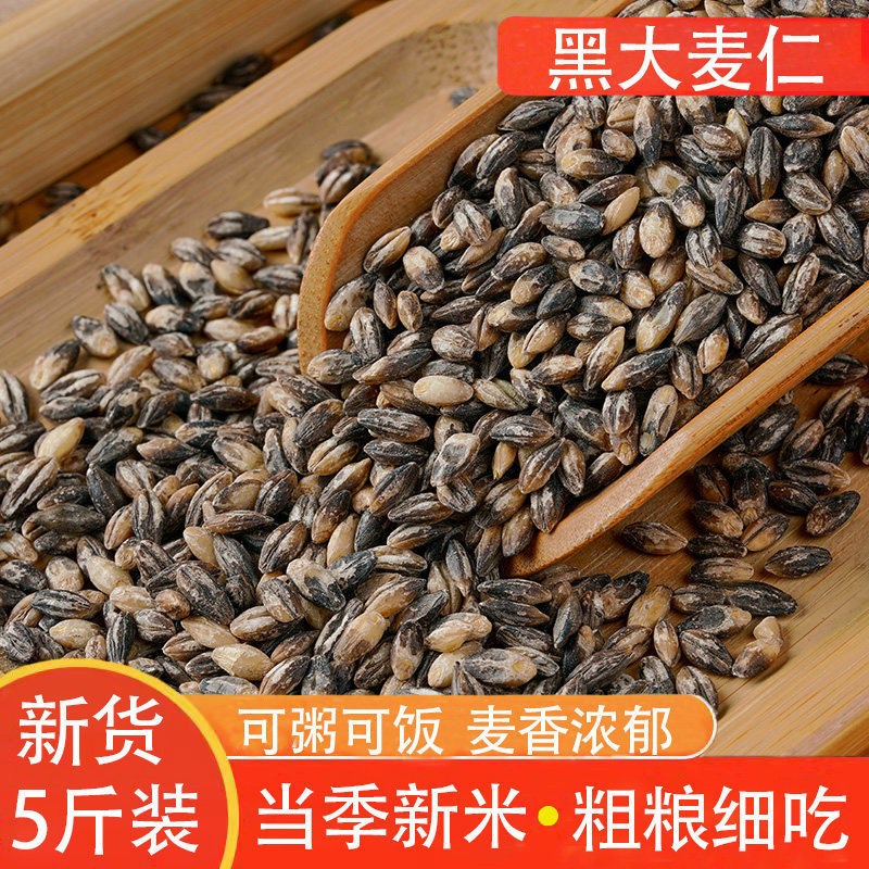 黑大麦仁当季新货黑麦子五谷杂粮图片