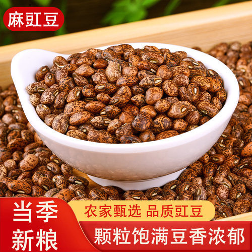 农家新豆老品种麻豇豆颗粒饱满