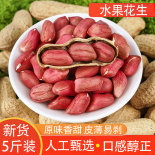 水果花生大粒饱满自种水果甜花生生即食带壳红皮花生新货小红花生