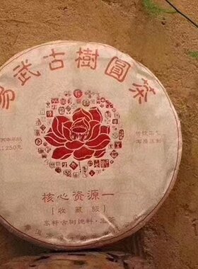浮生若茶普洱生茶云南高杆