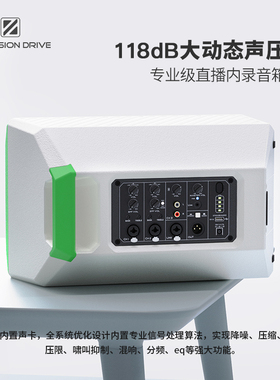 悦耳湃德K8 PLUS蓝牙音箱户外便携路演乐器演唱K歌内录直播音响