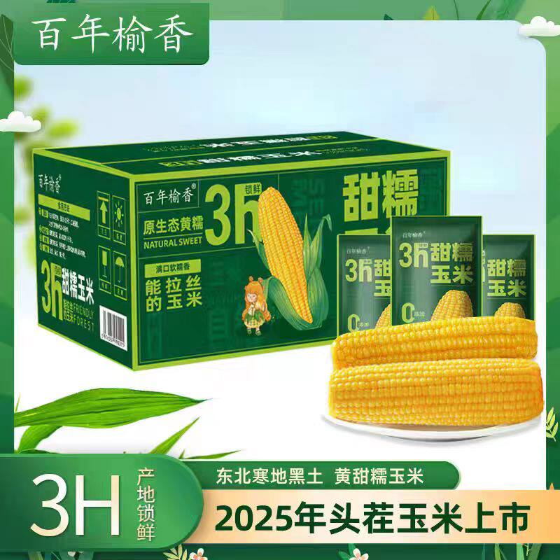 百年榆香东北黄糯糯九2025头茬玉米软糯香甜黏玉米精选240g*10棒