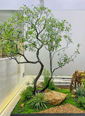 高端马醉木仿真造景橱窗植物室内仿真绿植装饰树仿真简约景观