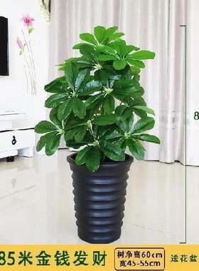 极速Multi-fbunction simulavtion green plant plant plants lar