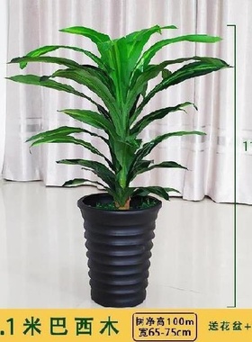 速发Mulli-fbuctio simulatio sree plat plat ptatg lge f