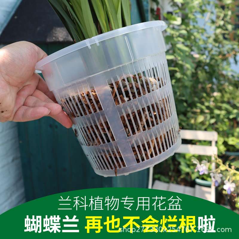 兰花盆栽方盆加厚透气塑料花盆