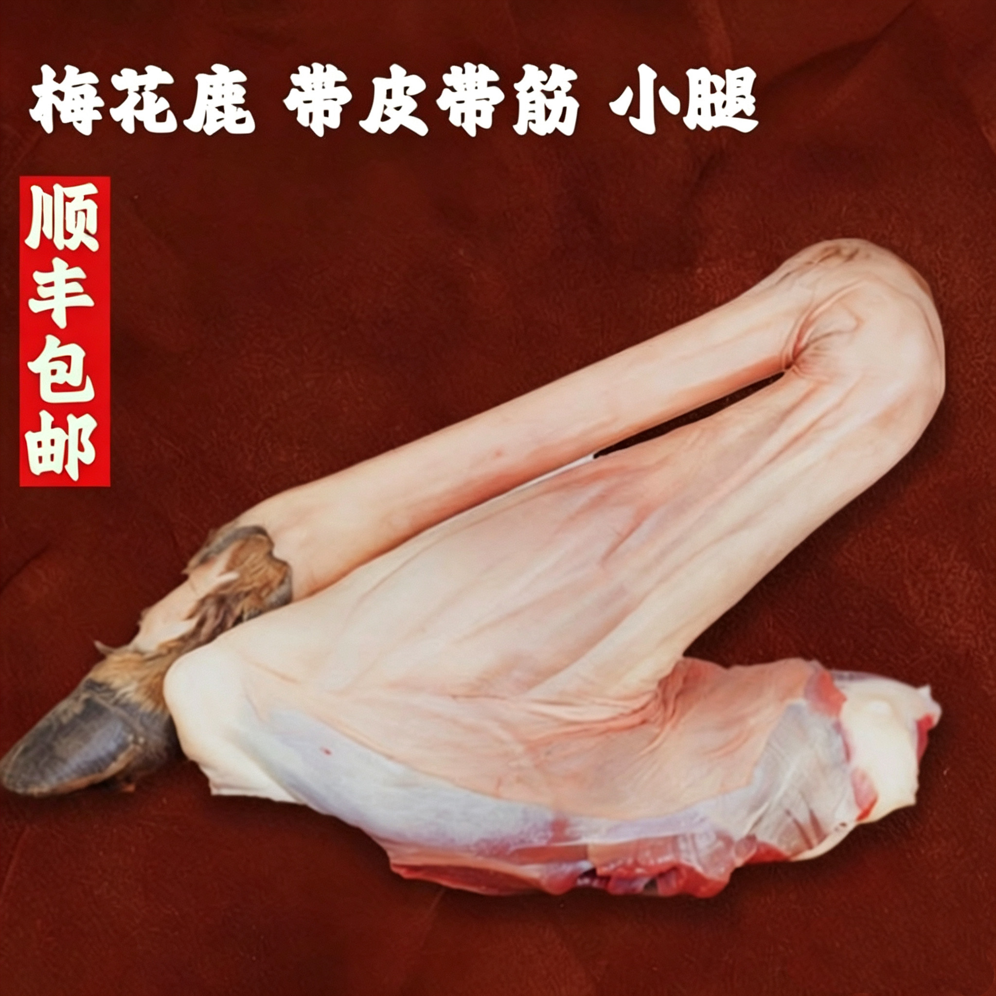 吉林新鲜现杀带皮鹿筋腿鹿腿鹿筋鹿腿骨整支鹿腿带蹄子梅花鹿筋腿