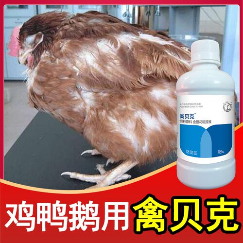 鸡鸭鹅鸽打蔫不食没精神家禽常备
