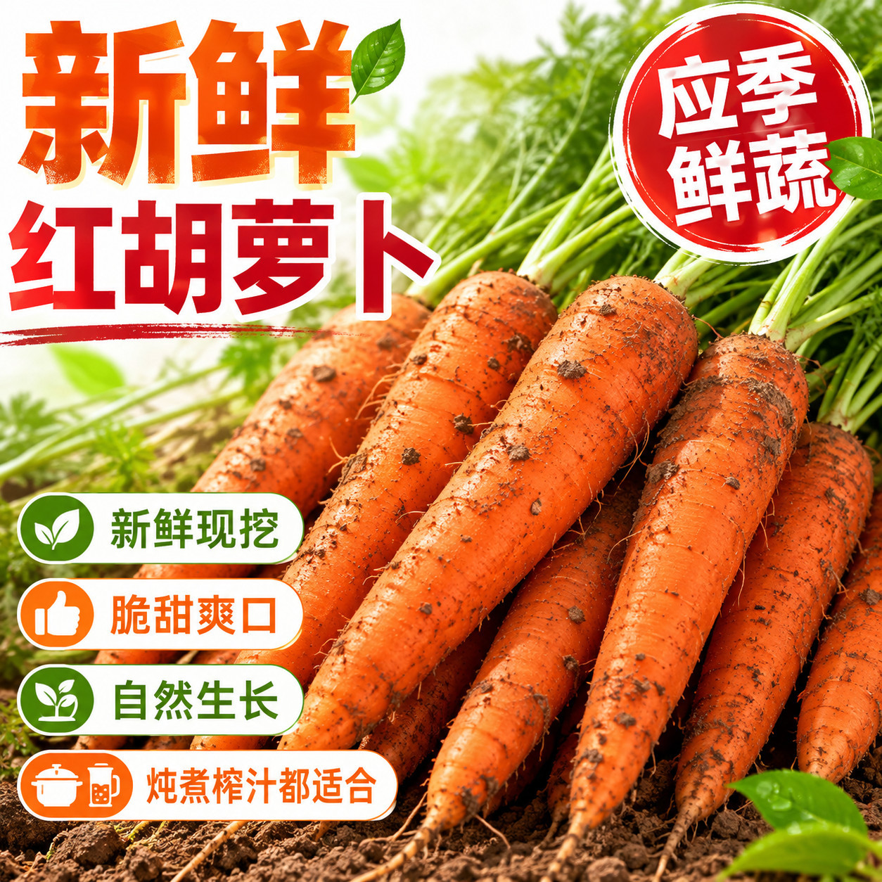 农家自种新鲜胡萝卜沙地现挖红皮