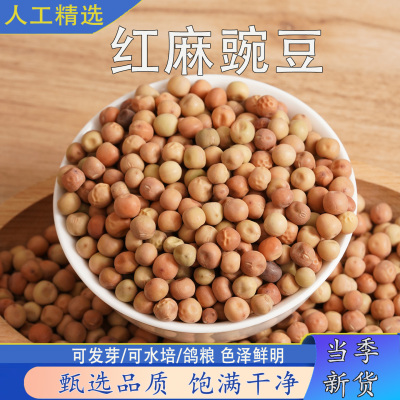 红麻豌豆新货可水培发芽豆无杂