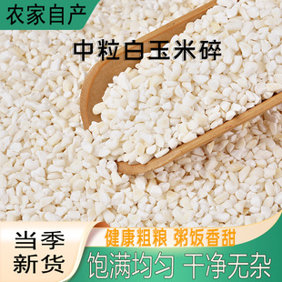 中粒白玉米碎当季东北新货熬煮粥粘白糯玉米碎玉米碴子颗粒