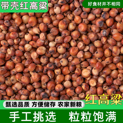 优质红高粱新货5斤装带壳带皮酿酒糯红高粱高粱米喂鸽子鸟食粮食