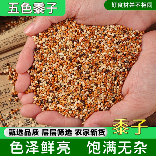 新货五色黍子农家自产鸟屎饲料
