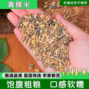青稞米新货蓝色青稞米5斤麦仁青海西藏高原青稞煮粥五谷杂粮包邮