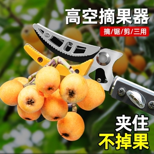 剪枝剪刀长杆高枝剪摘果伸缩杆摘水果采摘高空剪果树修剪树枝剪刀