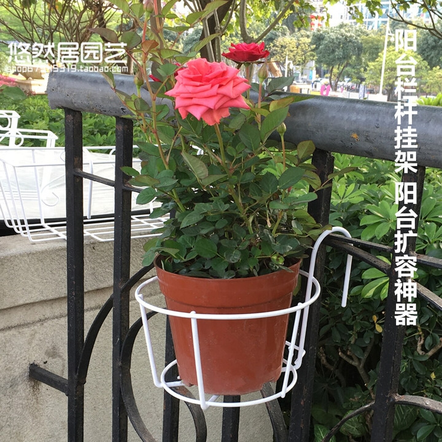 简约阳台外悬挂花架配塑料花盆配托盘绿萝花盆挂架悬挂式花盆吊盆